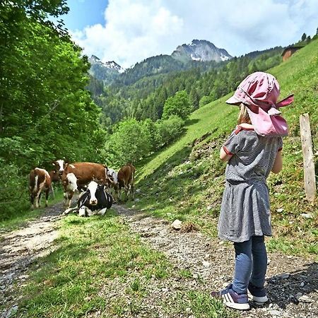 Bed And Breakfast - Die Aelplersuit Fuer Backpackers Im Berghuesli Linthal Kültér fotó