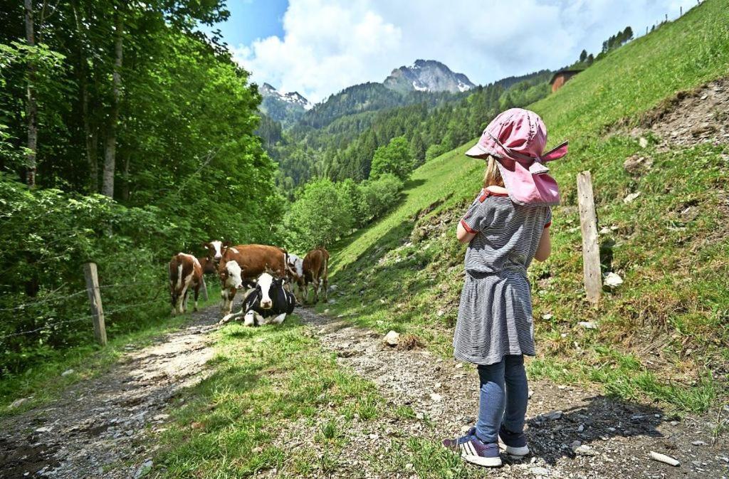 Bed And Breakfast - Die Aelplersuit Fuer Backpackers Im Berghuesli Linthal Kültér fotó