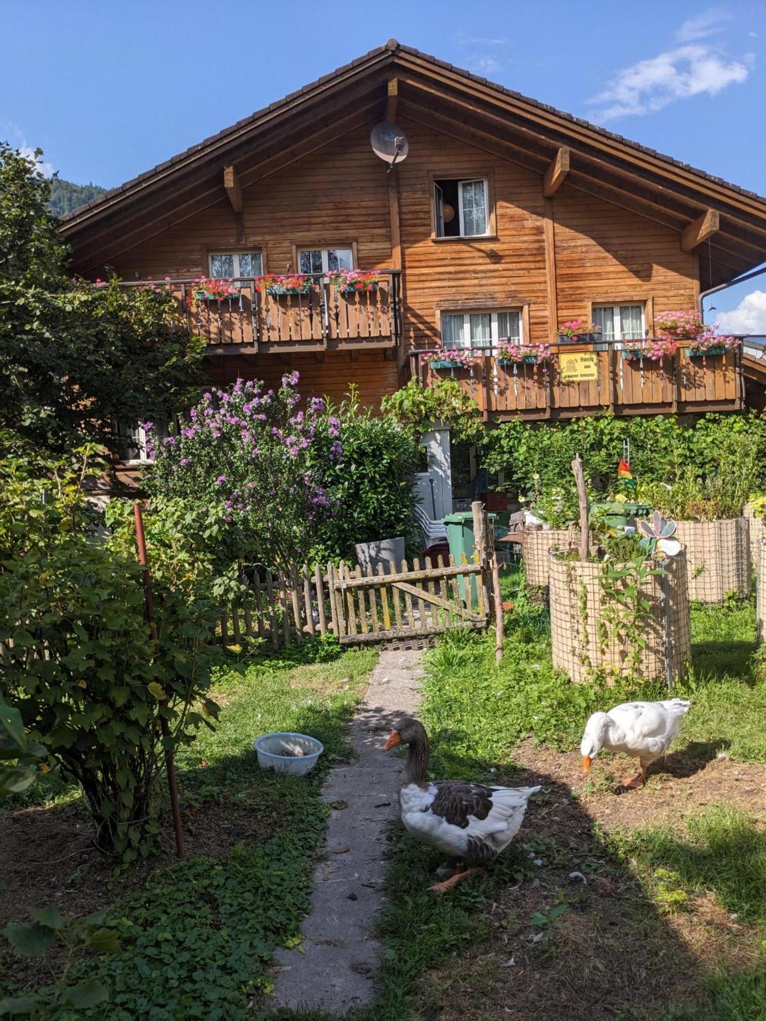 Bed And Breakfast - Die Aelplersuit Fuer Backpackers Im Berghuesli Linthal Kültér fotó