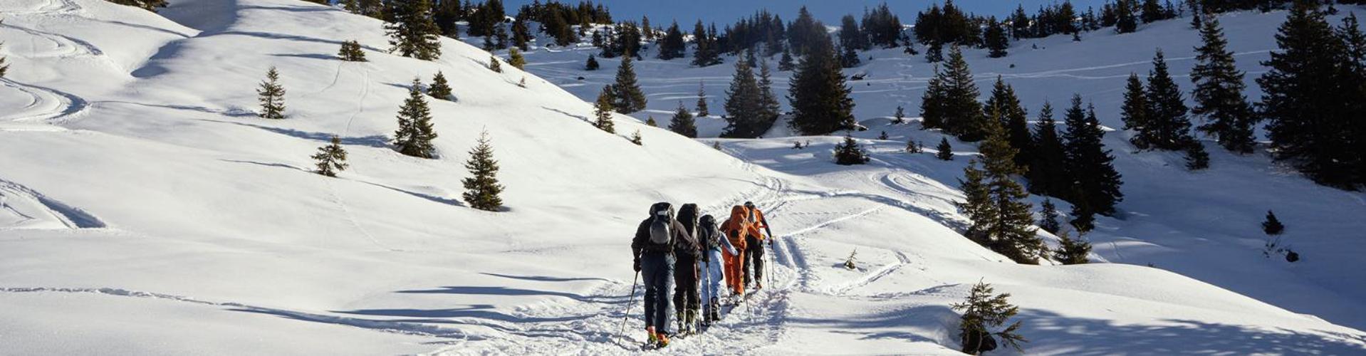 Bed And Breakfast - Die Aelplersuit Fuer Backpackers Im Berghuesli Linthal Kültér fotó